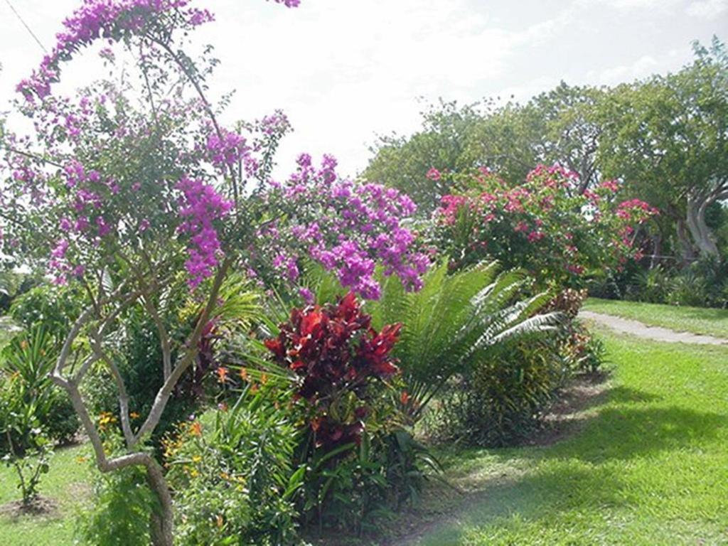 Great Escape And Breakfast Inn Vieques Zewnętrze zdjęcie
