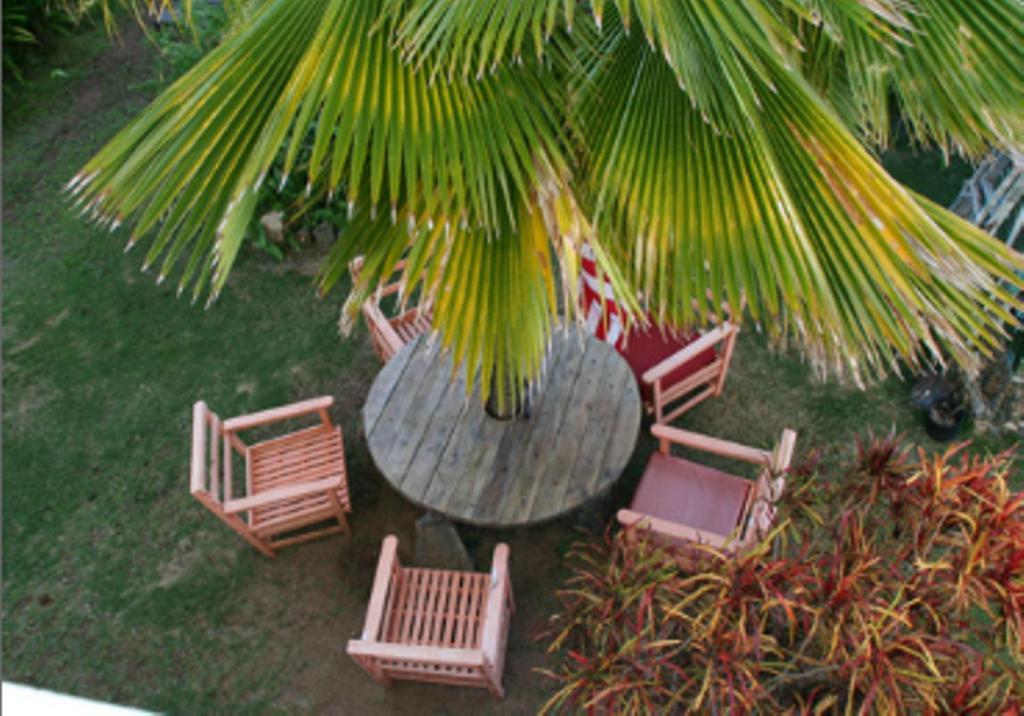 Great Escape And Breakfast Inn Vieques Zewnętrze zdjęcie